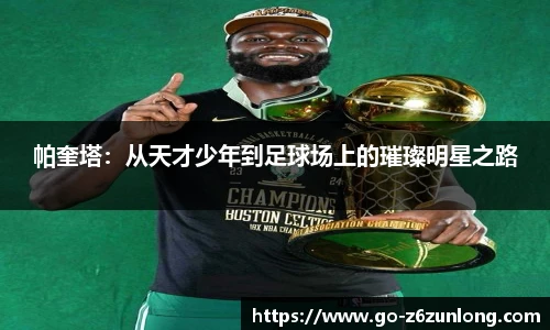 Z6·尊龙凯时