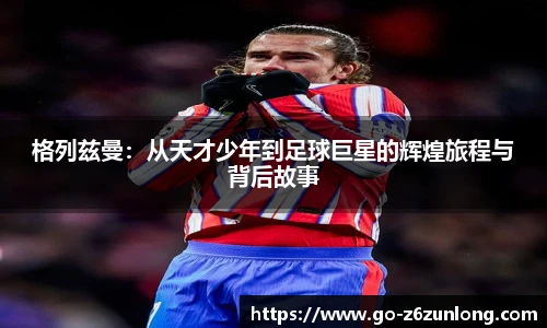 z6尊龙·凯时(中国区)官方网站